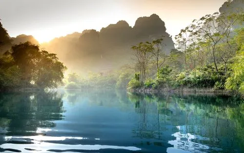 绿色科技高效
